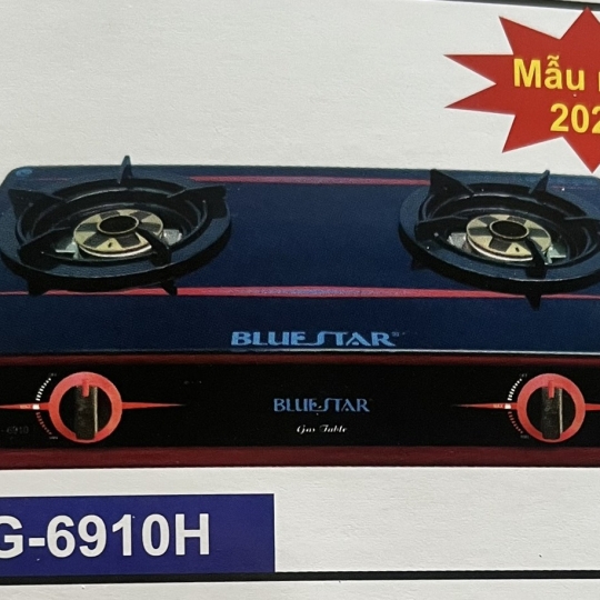 bếp gas bluestar ng-6910h
